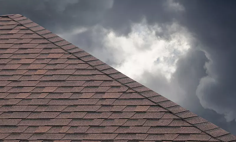 Leaking Roof Solutions | Step-by-Step Homeowner Guide