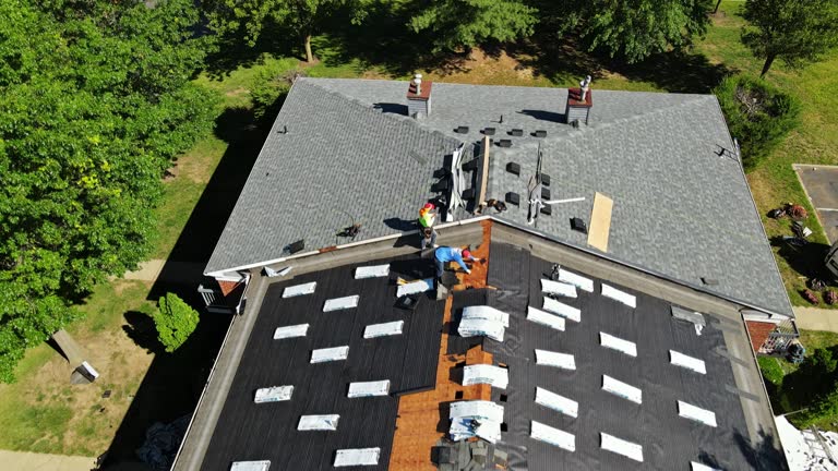 When Should You Contact Professional Roofing Contractors In Houston TX, for Repairs Or Replacement?